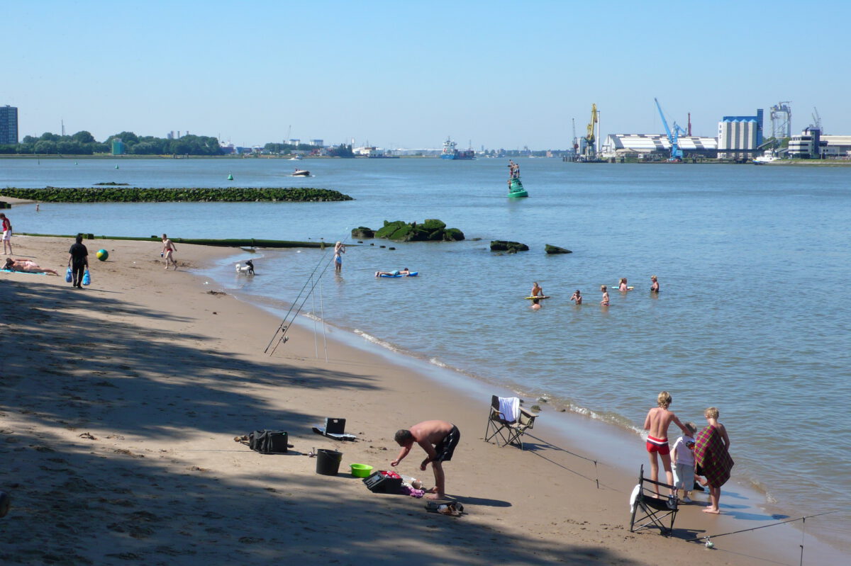 beaches in Rotterdam