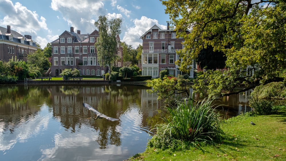 heron-flying-through-park-in-amsterdam