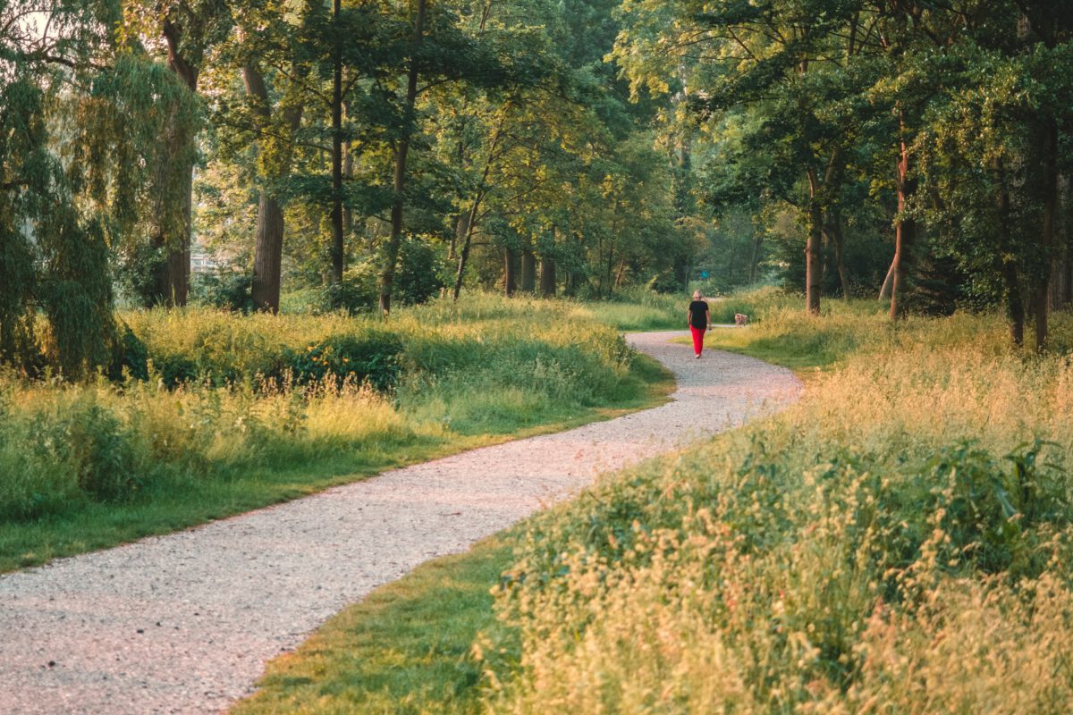 Hiking in The Hague: 11 nature spots for the outdoor adventurer –  DutchReview - Path of Ex