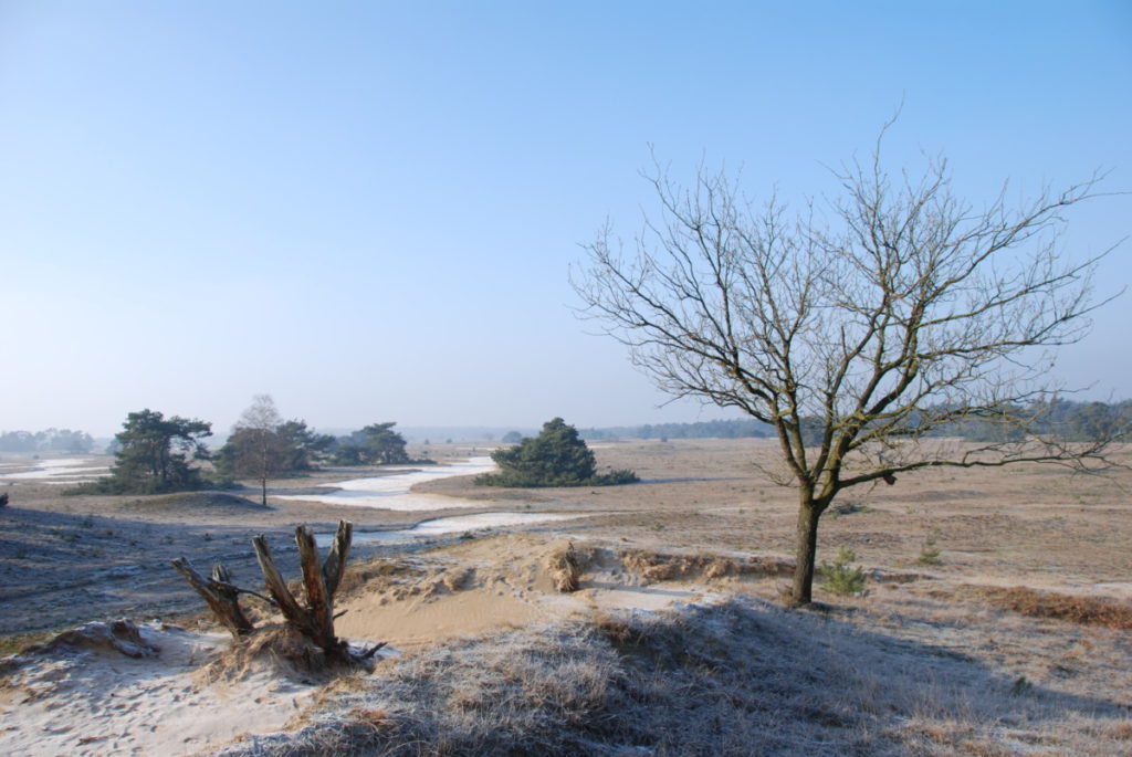 national park netherlands 