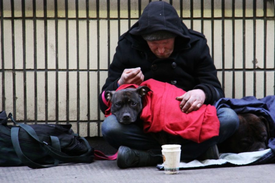 photo-of-homeless-person-in-the-netherlands-with--dog-sitting-on-floor