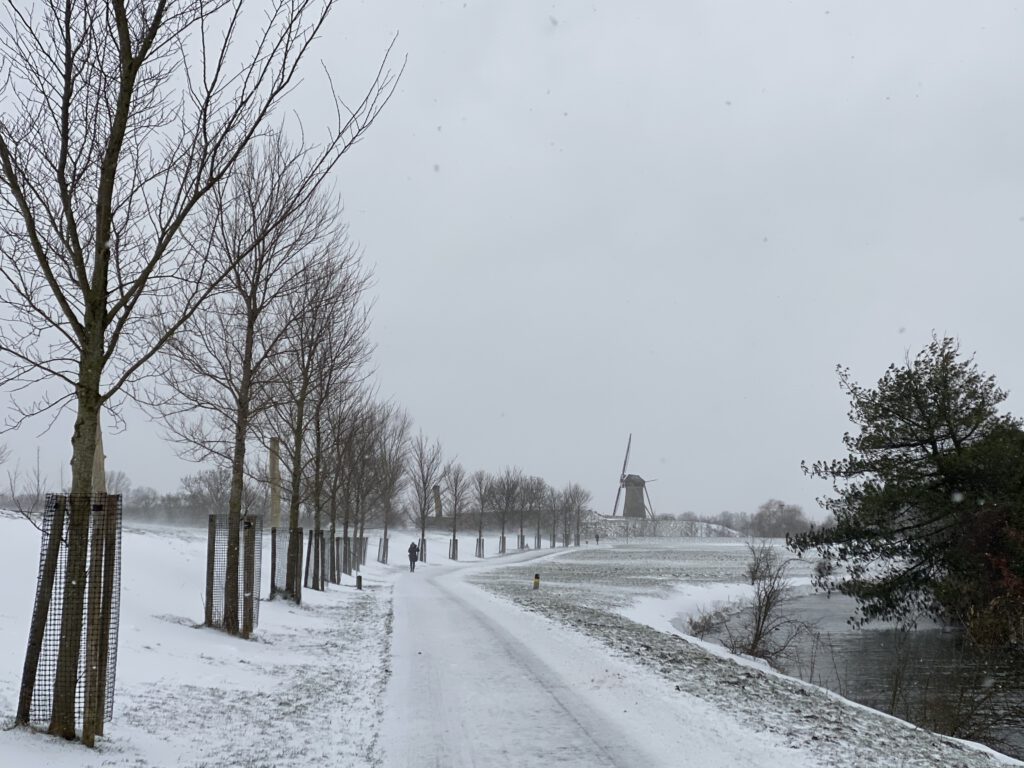photo-of-Hoofddorp-surrounding-park-in-the-winter-covered-in-snow