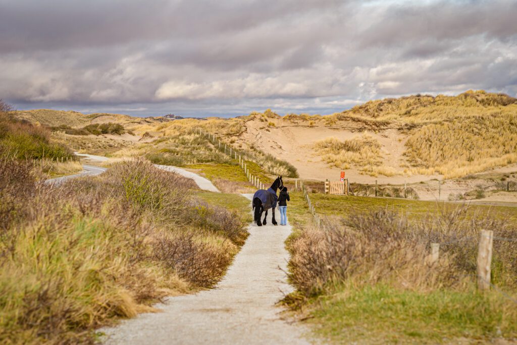 Walking with a horse  near the sea on the sand beach , Katwijk, Netherlands