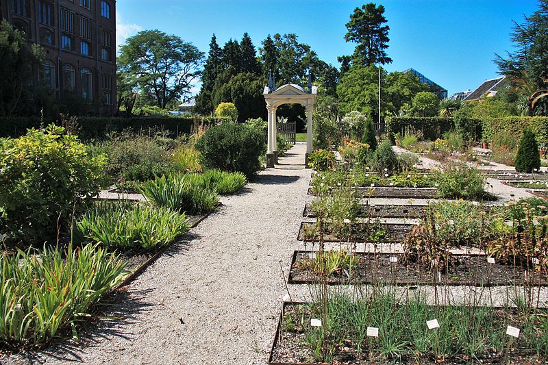 photo-of-the-Hortus-Botanicus-in-Leiden-Museum-to-visit