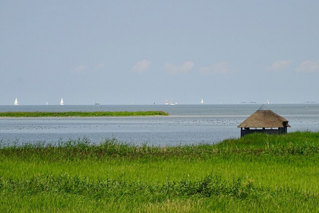 A small hut sits in the grass in front of the large IJsselmeer. Sailboats in the distance.