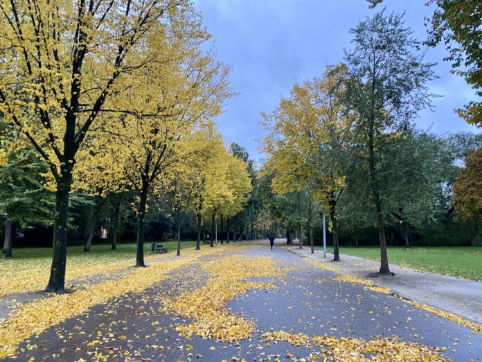 Vondelpark-Amsterdam-autumn-leaves-walking-trails