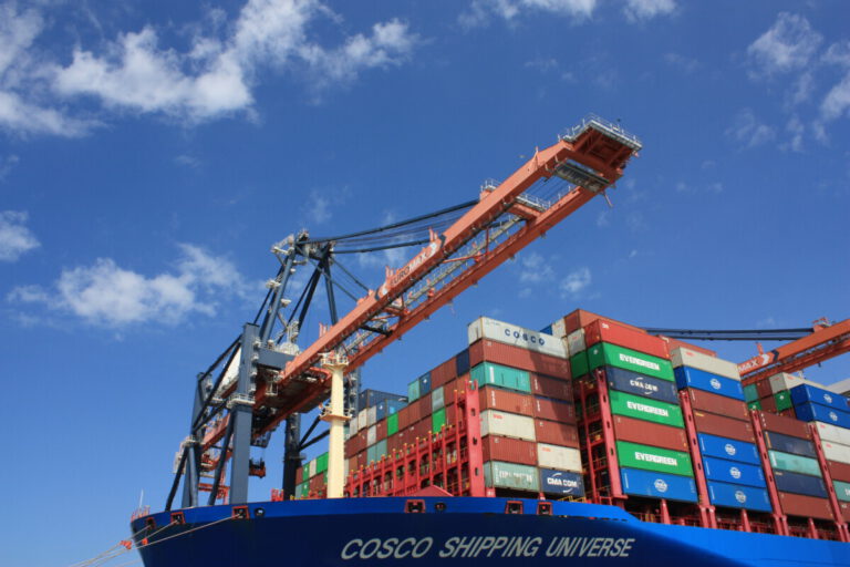 Rotterdam port customs finds 260kg of cocaine – nestled between wine and shrimp