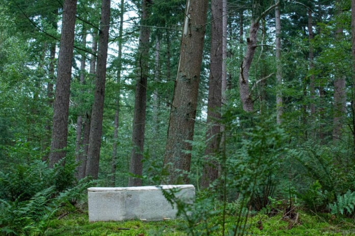 compostable coffin in woods