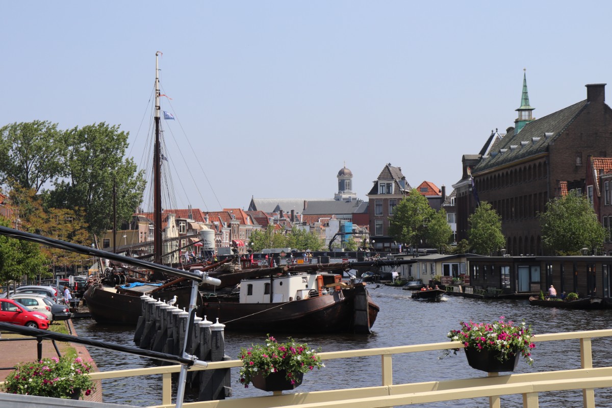 move to leiden