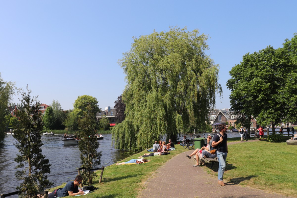 Greenery in the Singelpark in Leiden