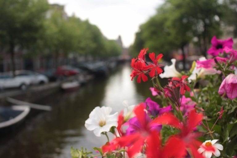 Marry a local for a day and discover a new side of Amsterdam