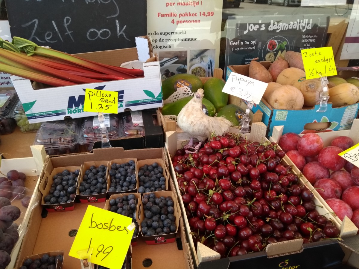 Reducing plastic use in the Netherlands