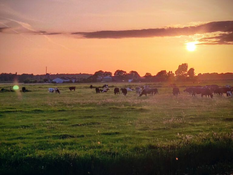 Weather forecast: high chance of ‘super heatwave’, sticky temperatures to stick around