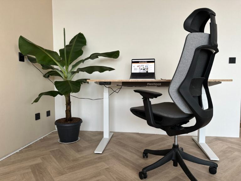 photo-of-flexispot-chair-at-flexispot-standing-desk-with-banana-plant and laptop in background