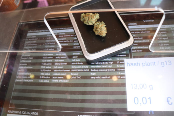 weed amsterdam coffeeshop
