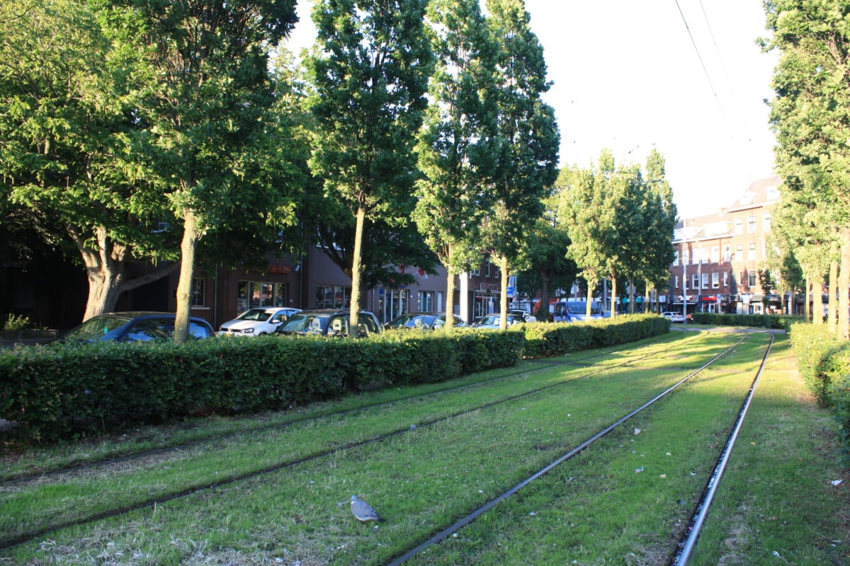 Moving to The Hague: public transport in the hague