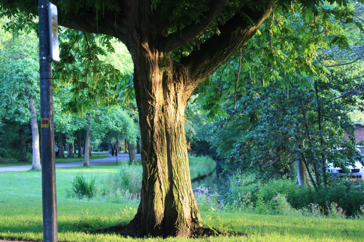 green spaces in the hague