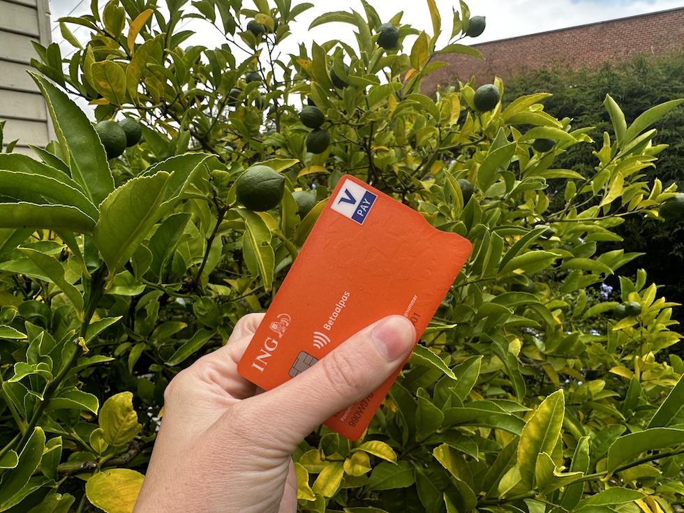 photo-of-hand-holding-orange-ing-card-in-front-of-green-bush