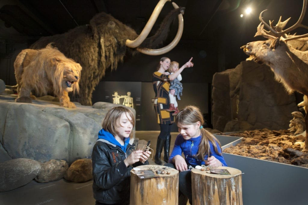 Ice age exhibit with animals in the Natuurmuseum Brabant