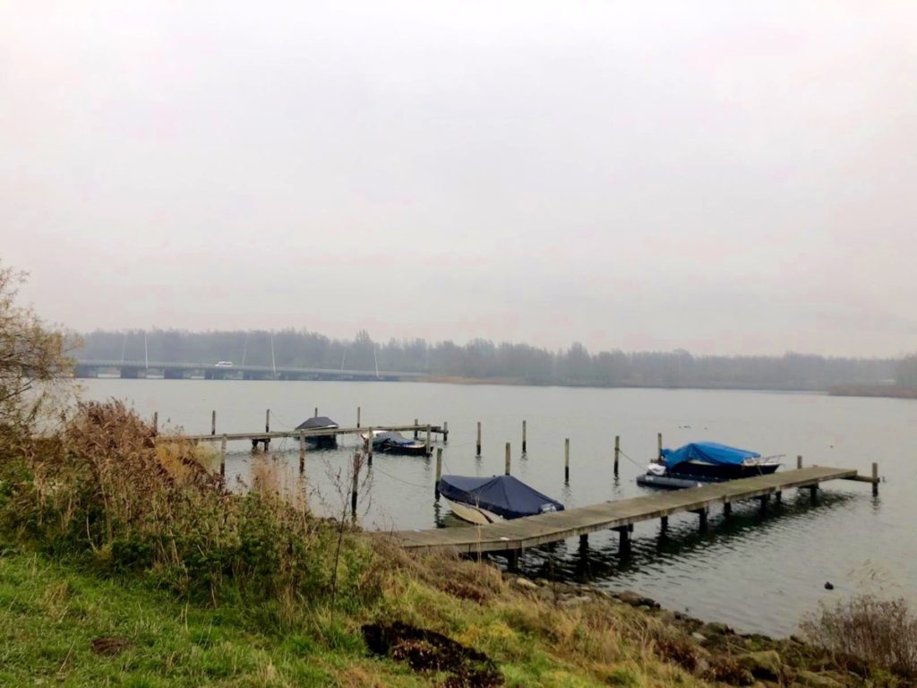 Photo-of-Ijmeer-in-Amsterdam-a-good-spot-for-wild-swimming-in-the-netherlands