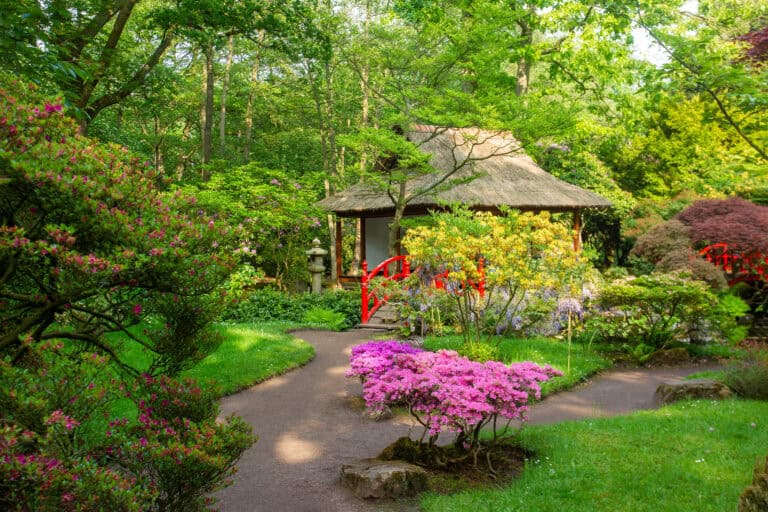 A-picture-of-the-Japanese-garden-in-Clingendael-Park-Den-Haag