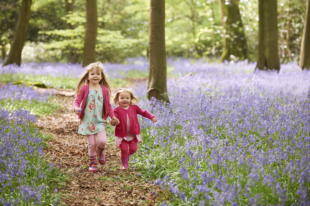 Two-young-children-playing-in-the-forest