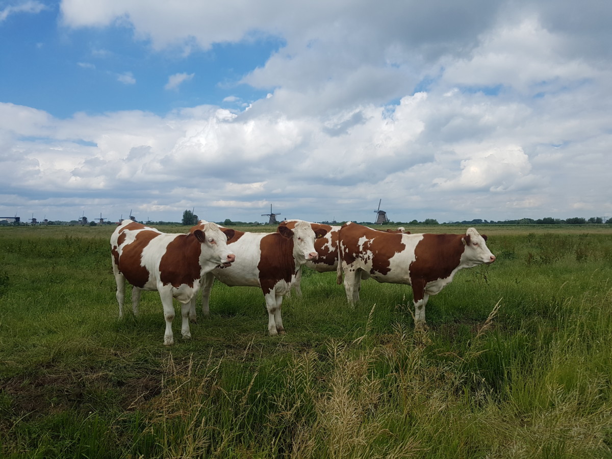 myths-hiking-netherlands