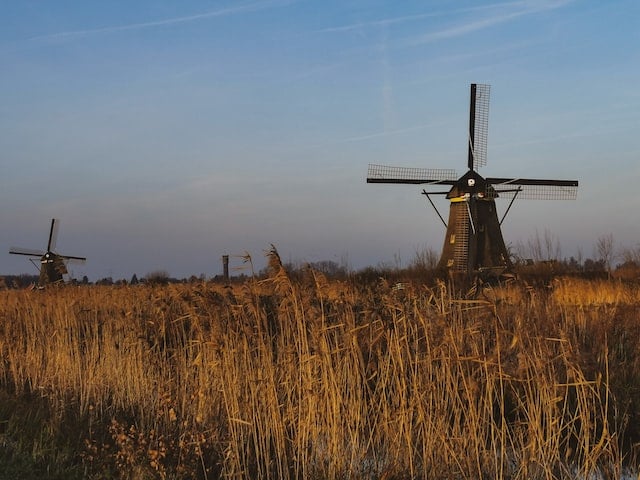 view of windmills while taking a hike in kinderdijk