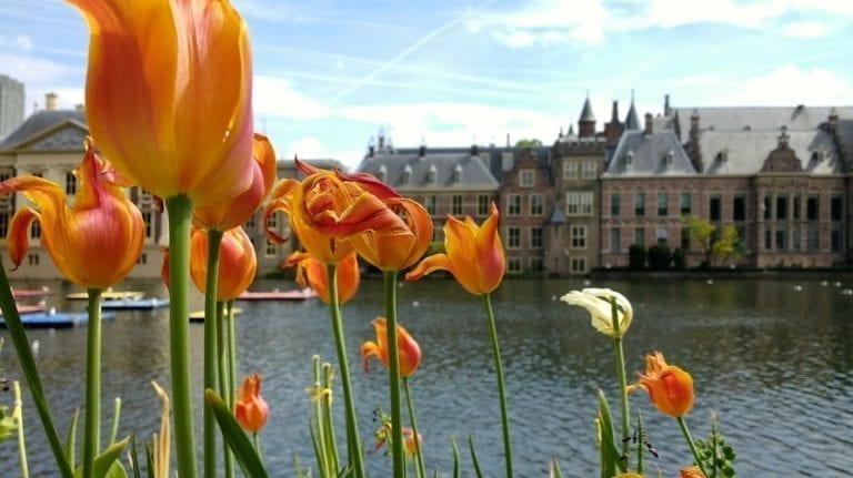 Today is the warmest King’s Day ever!