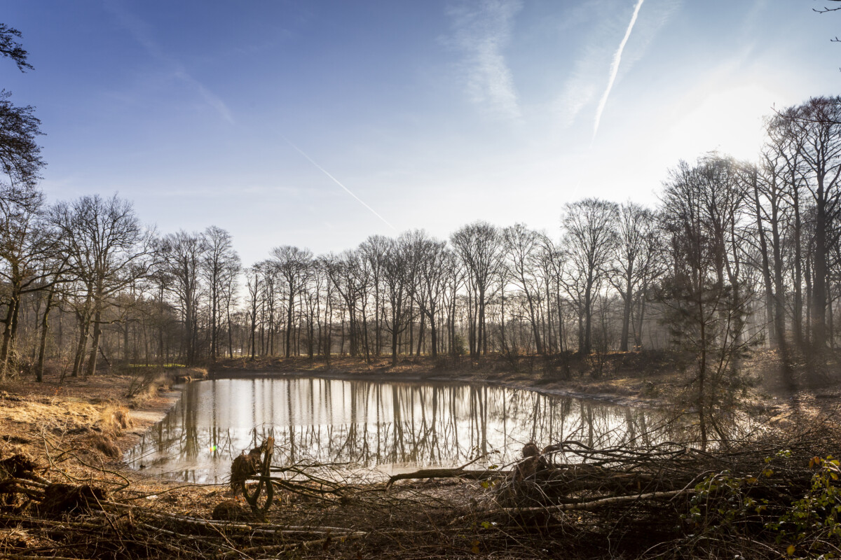 Heiderpark Tilburg