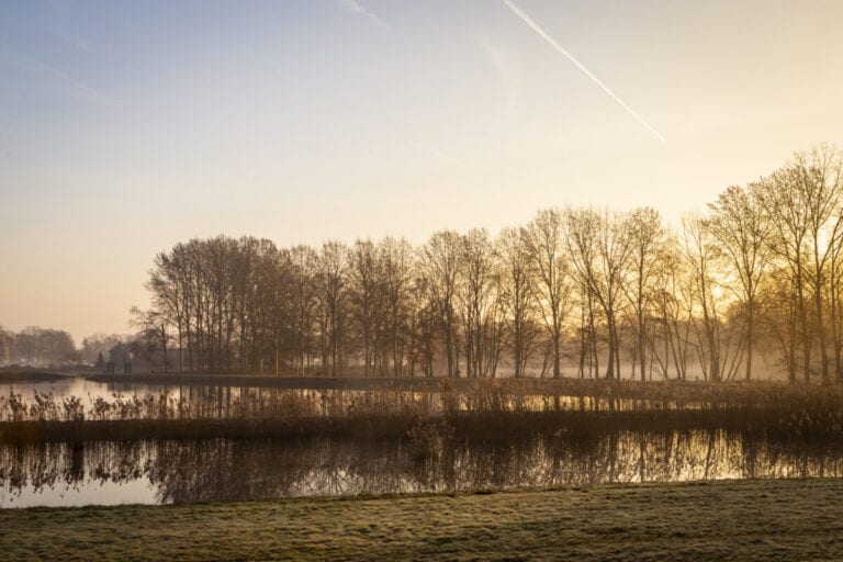 Get out! Six great walking and cycling routes in Tilburg