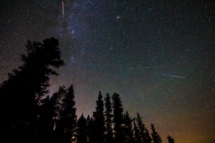 Photo-of-trees-silhouhetted-against-purple-and-orange-gradient-night-sky-with-thousands-of-meteors-streaking-through