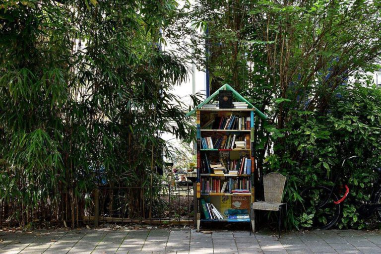 Book swapping in the Netherlands: how you can read, save money, and recycle