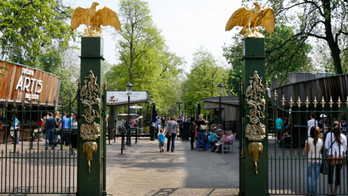 Artis zoo in amsterdam