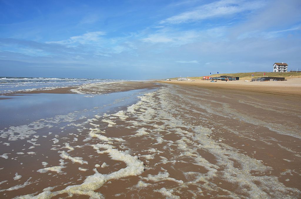 photo-of-bergen-aan-zee-beach-holland