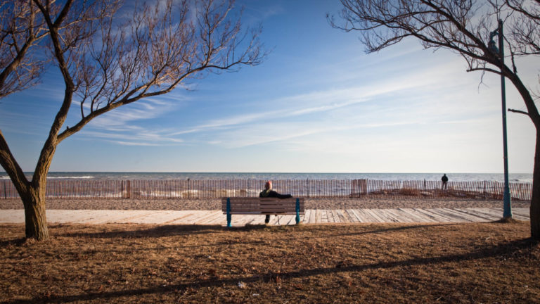 January 2020 was one of the hottest winter months on record in the Netherlands