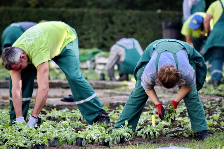 Social welfare beneficiaries will soon be obligated to work or study