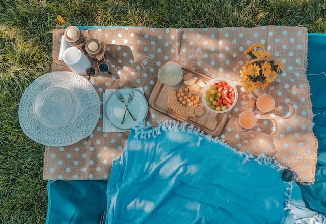 photo-of-picnic-blanket-with-food-set-up-things-to-do-kinderdijk