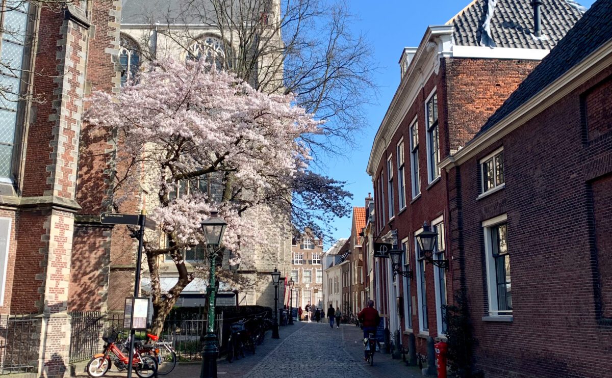 Pieterskerk square in leiden