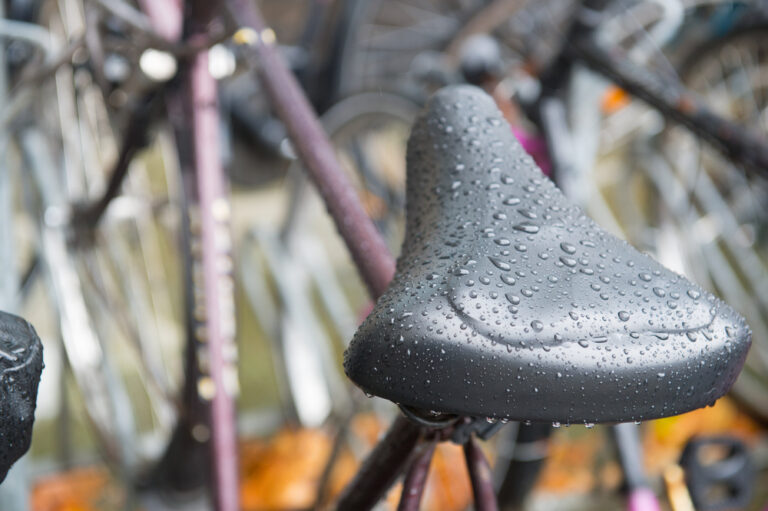 The Netherlands will ring in the new year with rain and rising temperatures 