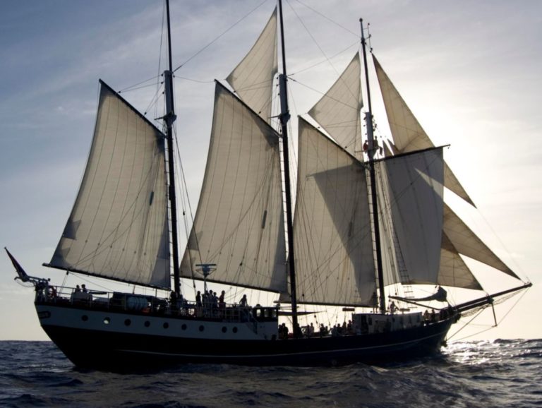 36 climate activists set sail from Amsterdam to the global climate conference