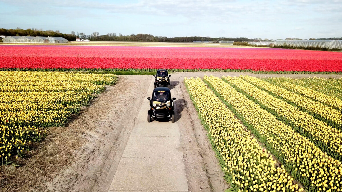 Photo-of-twizy-in-tulip-field-netherlands