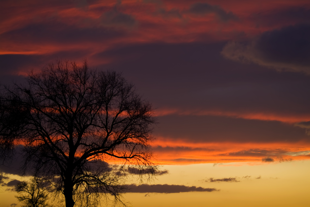 Photo-of-Sahara-dust-in-sky-at-sunset