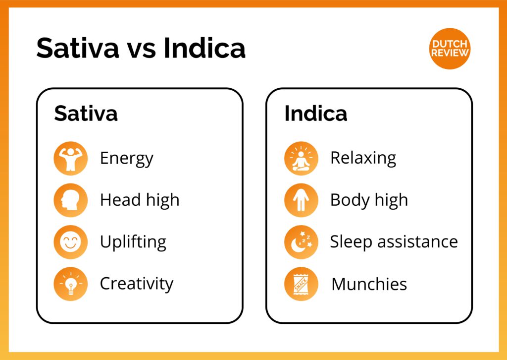 Sativa-vs-Indica-Infographic-weed