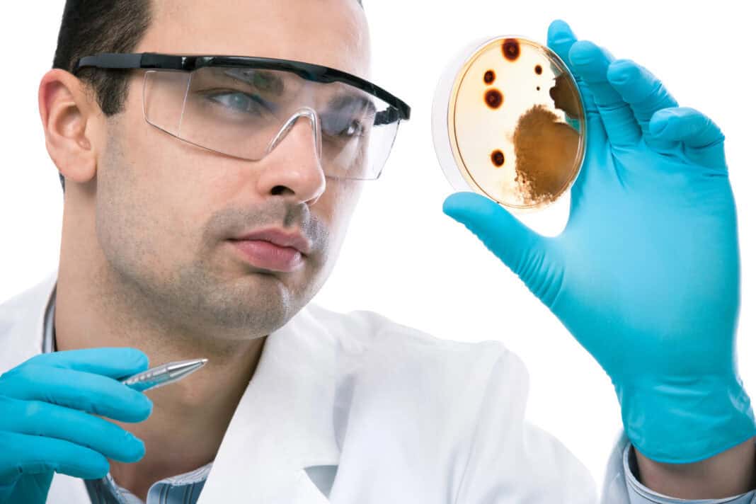 photo-of-scientist-in-glasses-white-lab-coat-looking-curiously-at-petri-dish-with-fungus-inside-holding-pen
