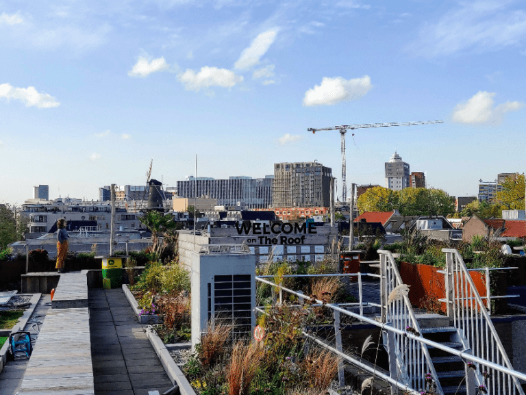 Another weather record: 24 October was the warmest ever in the Netherlands