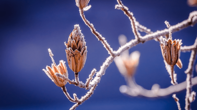 First sub-zero temperatures recorded in De Bilt