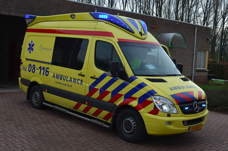 25 stowaways found in refrigerated container at Vlaardingen port