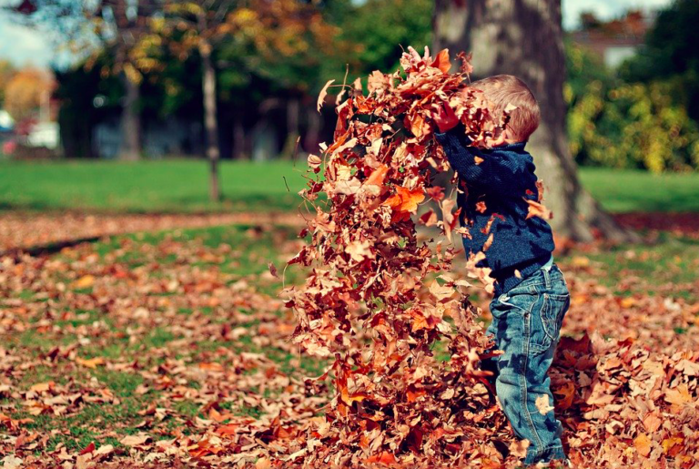 Mommy approved: here are some of the best spots to take your kids in The Hague