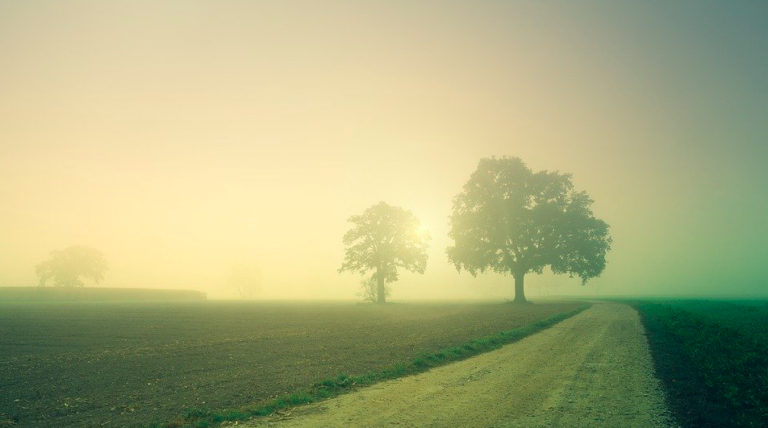 From fog to wind to rain: this week’s got it ALL